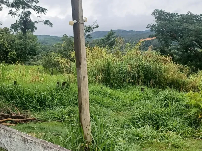 Fazenda em Esmeraldas/Minas Gerais — Ref WGXFMN — Imagem 18