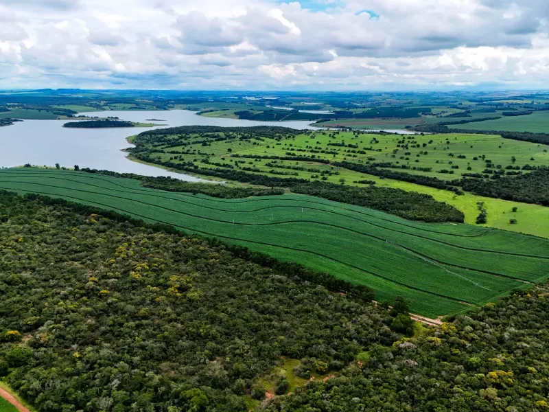 Fazenda em Tejupá/São Paulo — Ref RMBJX8 — Imagem 4