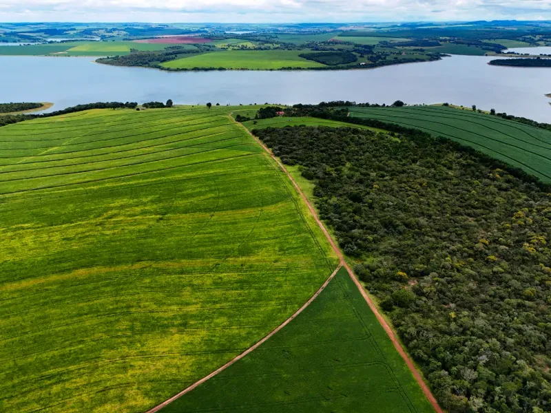 Fazenda em Tejupá/São Paulo — Ref RMBJX8 — Imagem 6