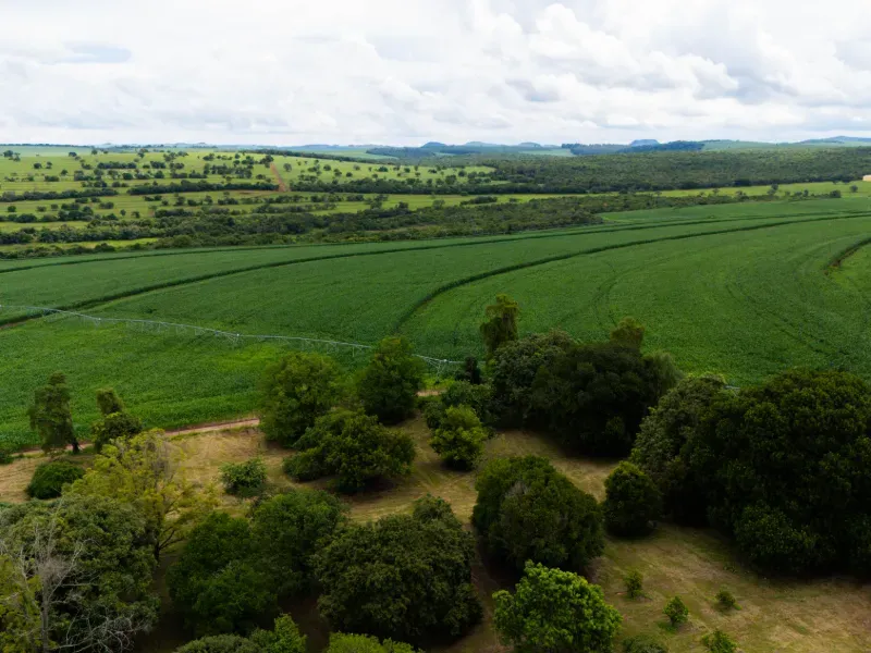 Fazenda em Tejupá/São Paulo — Ref RMBJX8 — Imagem 11