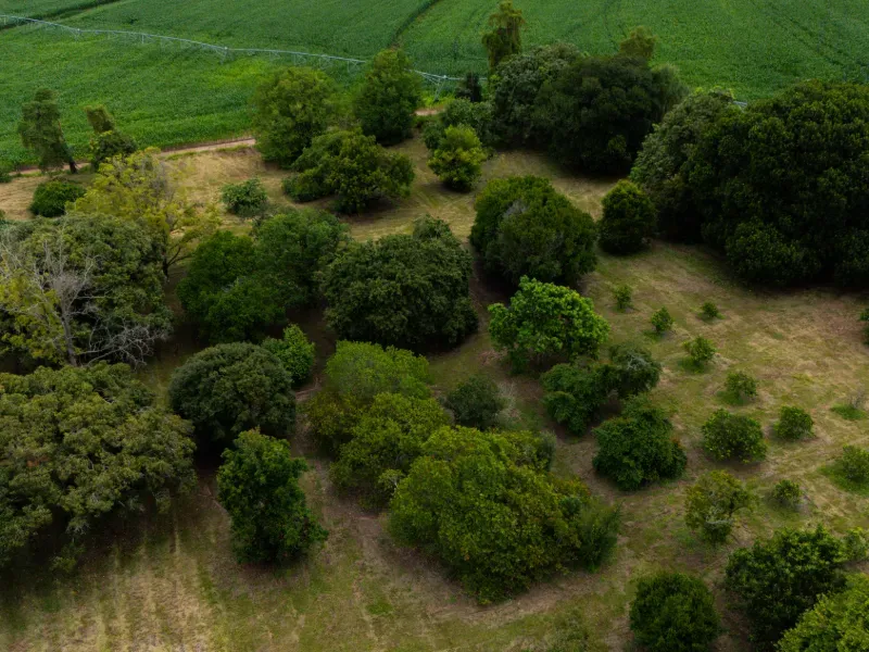 Fazenda em Tejupá/São Paulo — Ref RMBJX8 — Imagem 12