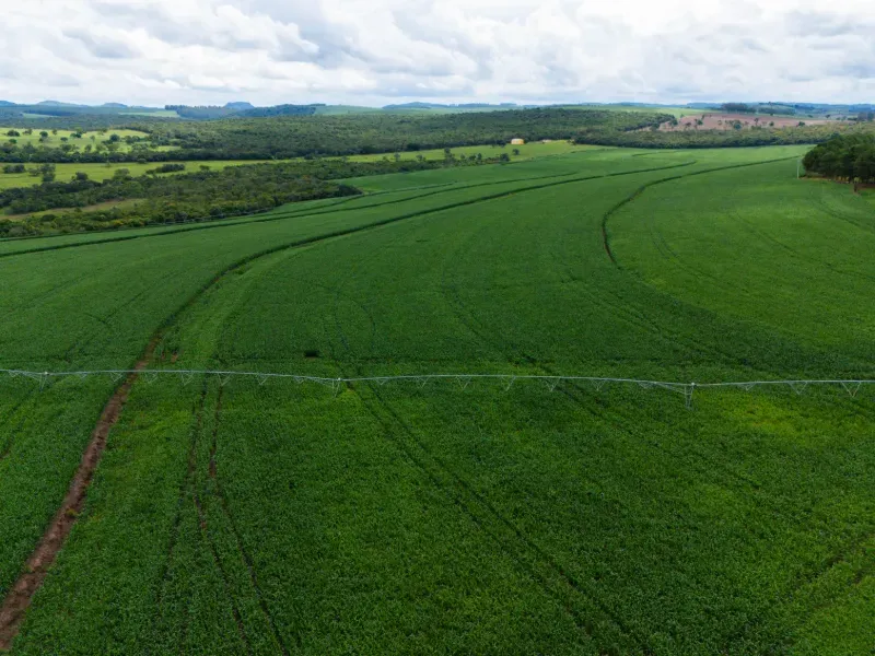 Fazenda em Tejupá/São Paulo — Ref RMBJX8 — Imagem 13