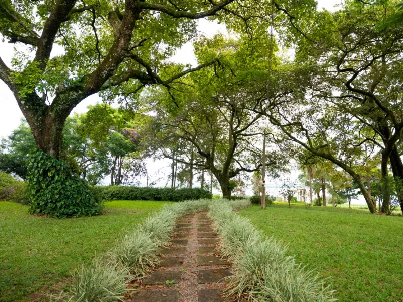 Fazenda em Tejupá/São Paulo — Ref RMBJX8 — Imagem 16