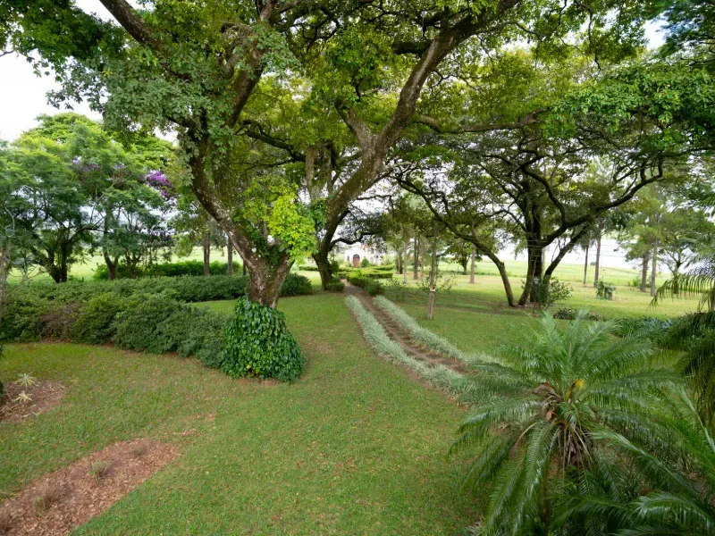 Fazenda em Tejupá/São Paulo — Ref RMBJX8 — Imagem 38