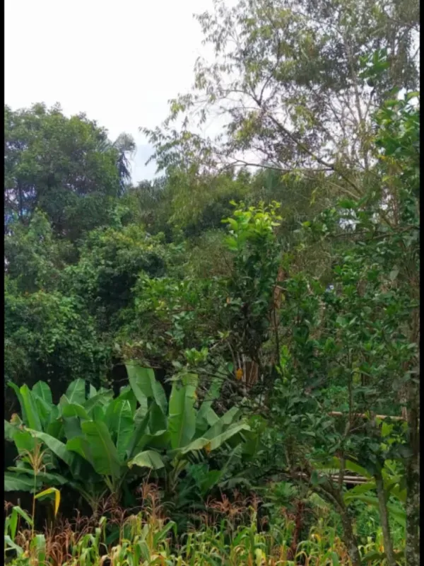 Chácara em Itaguara/Minas Gerais — Ref DVMWBX — Imagem 4