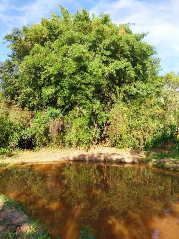 Chácara em Itaguara/Minas Gerais — Ref DVMWBX — Imagem 6