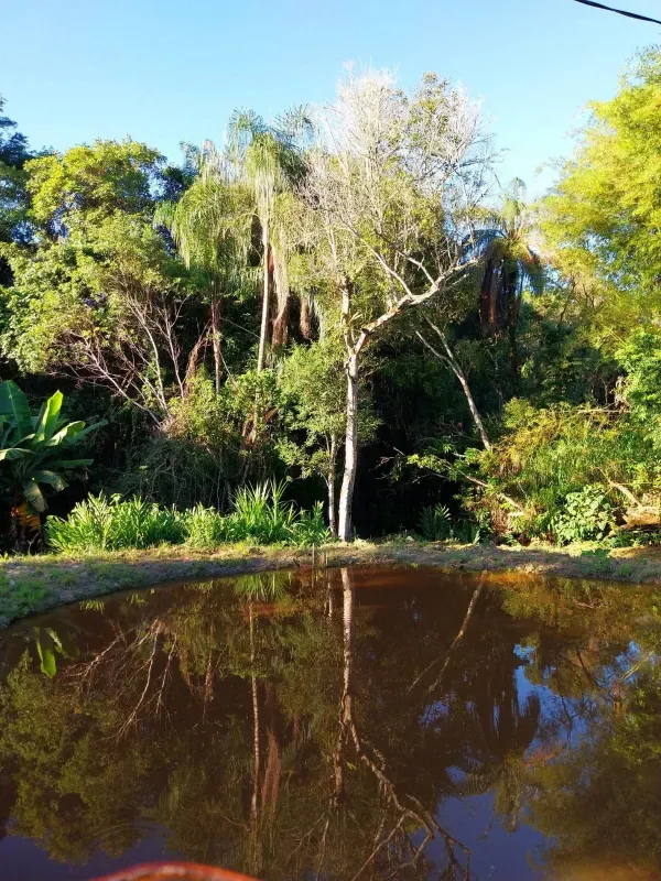 Chácara em Itaguara/Minas Gerais — Ref DVMWBX — Imagem 7