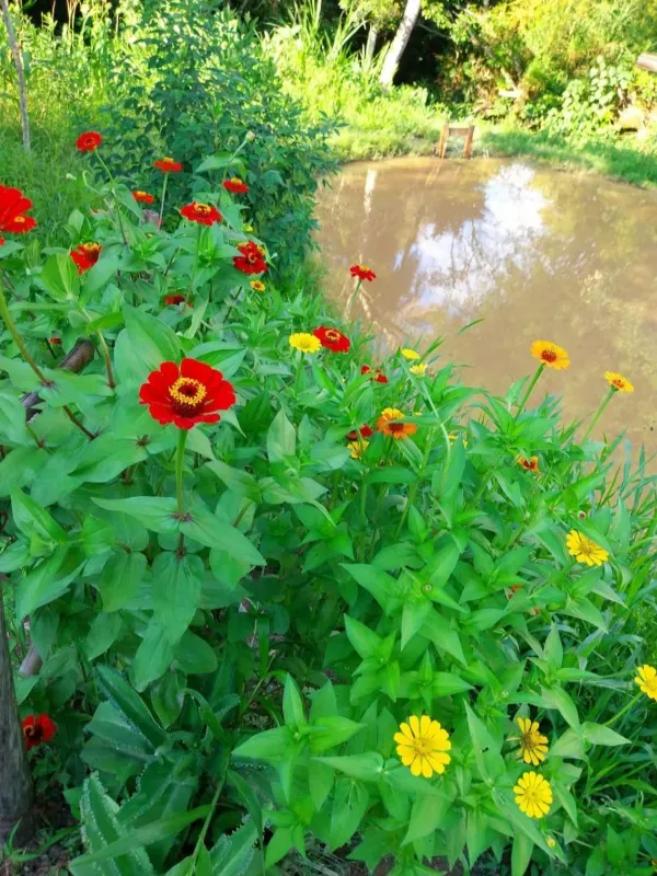 Chácara em Itaguara/Minas Gerais — Ref DVMWBX — Imagem 8