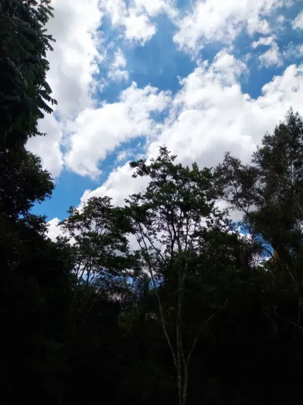 Chácara em Itaguara/Minas Gerais — Ref DVMWBX — Imagem 9