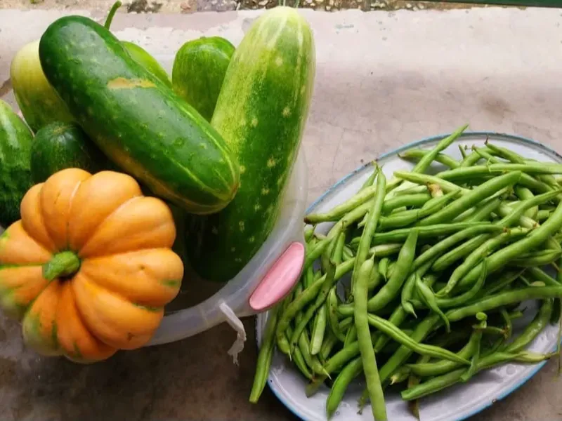 Chácara em Itaguara/Minas Gerais — Ref DVMWBX — Imagem 11