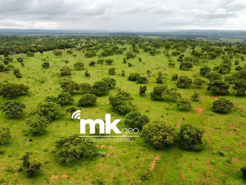 Fazenda em Paineiras/Minas Gerais — Ref DGQDW0 — Imagem 3