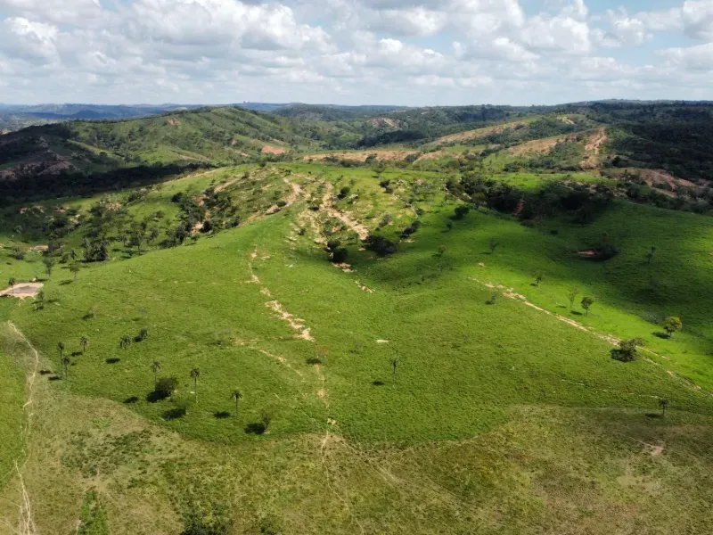 Fazenda em Biquinhas/Minas Gerais — Ref PN2VEM — Imagem 9