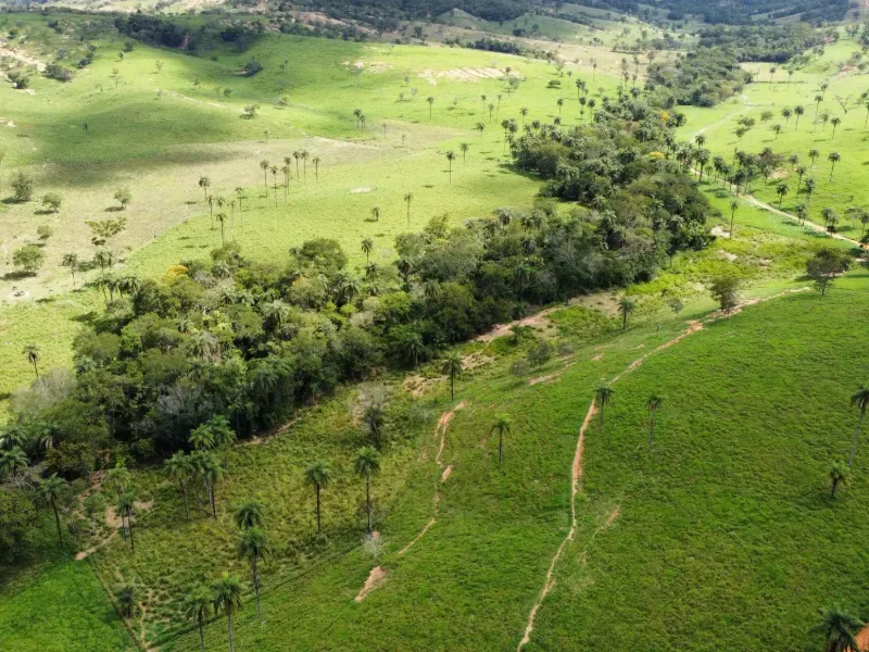 Fazenda em Biquinhas/Minas Gerais — Ref PN2VEM — Imagem 10