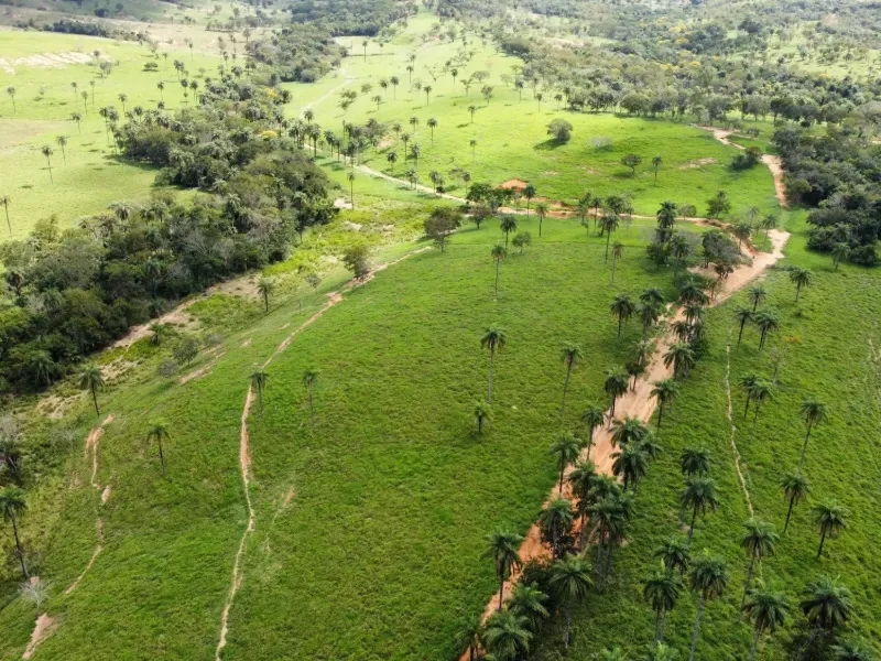 Fazenda em Biquinhas/Minas Gerais — Ref PN2VEM — Imagem 11