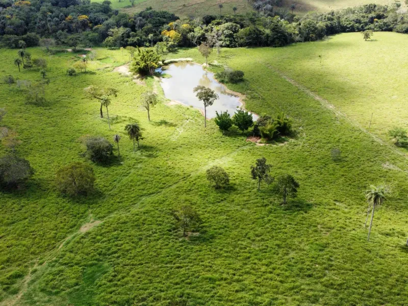 Fazenda em Biquinhas/Minas Gerais — Ref PN2VEM — Imagem 12