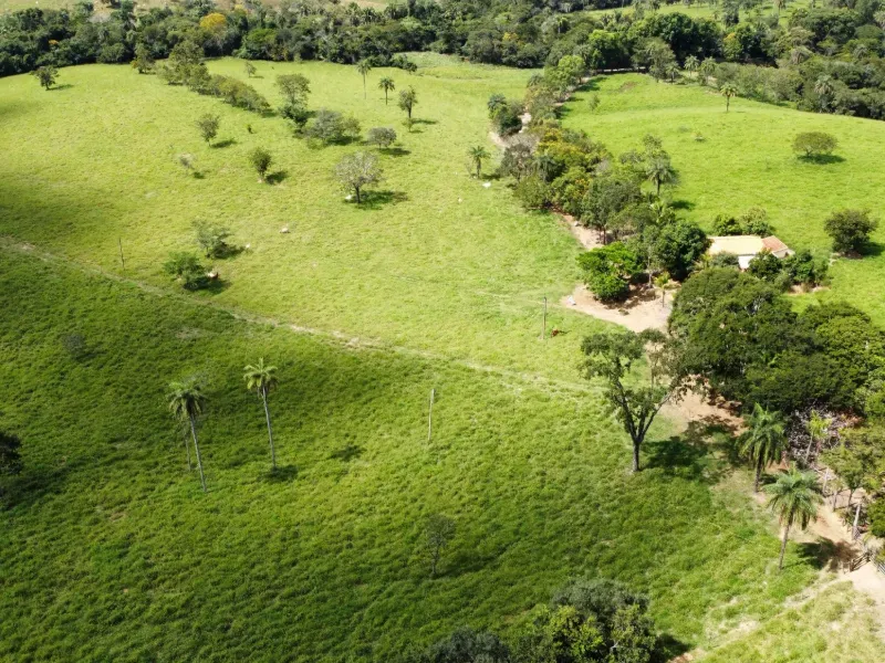 Fazenda em Biquinhas/Minas Gerais — Ref PN2VEM — Imagem 13