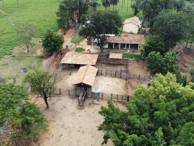 Fazenda em Biquinhas/Minas Gerais — Ref PN2VEM — Imagem 6