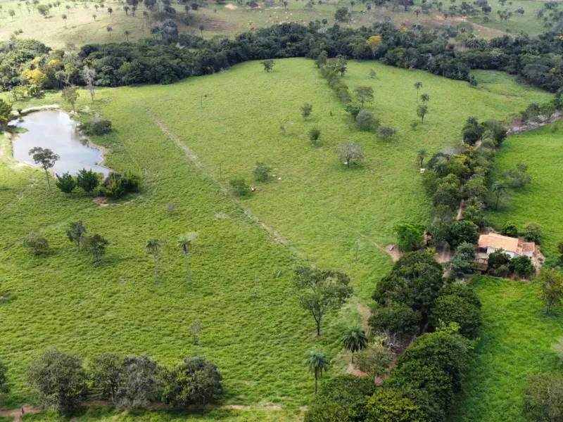 Fazenda em Biquinhas/Minas Gerais — Ref PN2VEM — Imagem 14