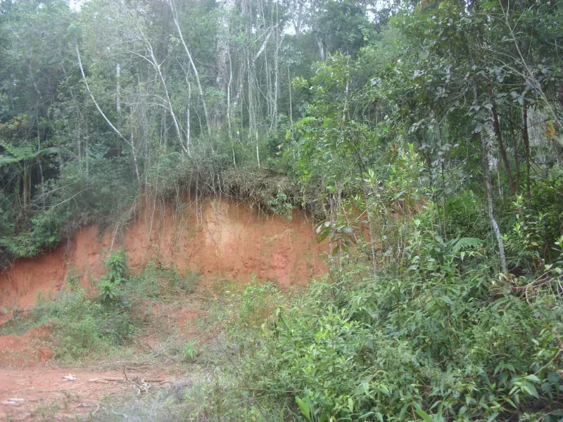 Sítio em Nova Friburgo/Rio de Janeiro — Ref ZIC3WA — Imagem 3