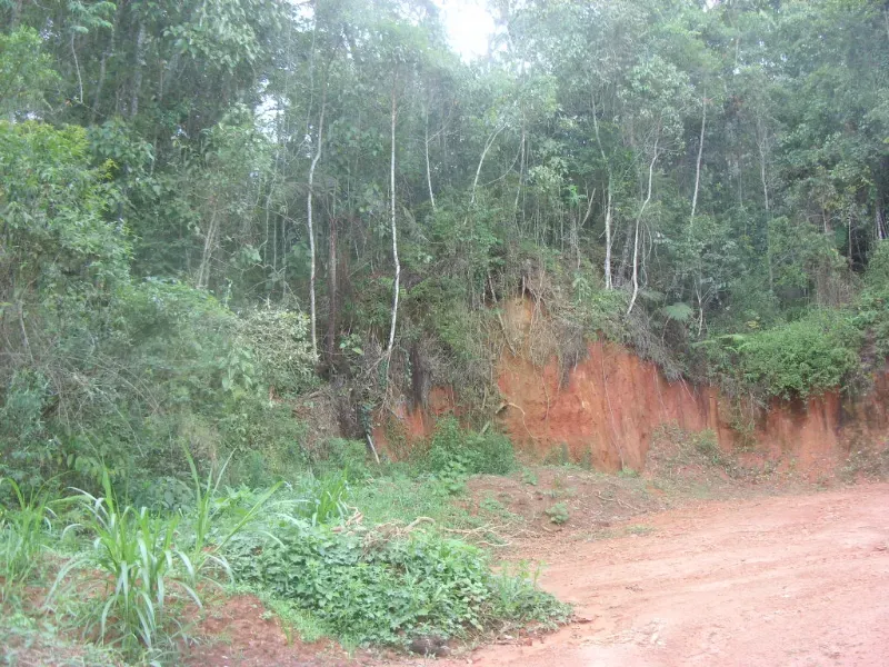 Sítio em Nova Friburgo/Rio de Janeiro — Ref ZIC3WA — Imagem 2