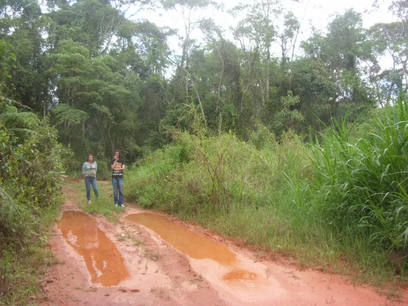 Sítio em Nova Friburgo/Rio de Janeiro — Ref ZIC3WA — Imagem 8