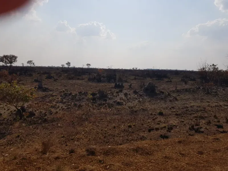 Fazenda em Santana do Araguaia/Pará — Ref LNTGQQ — Imagem 32