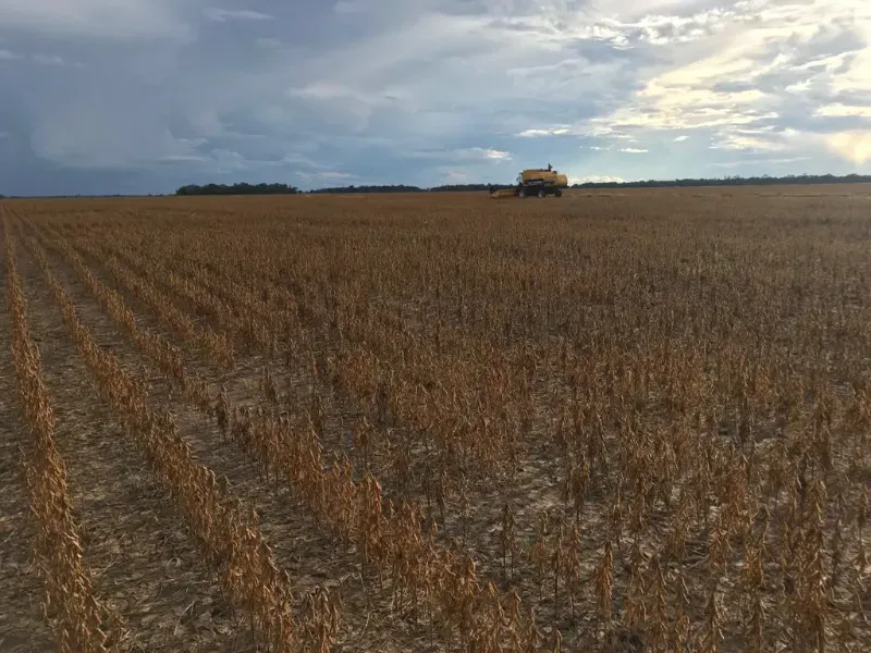Fazenda em Santana do Araguaia/Pará — Ref LNTGQQ — Imagem 14