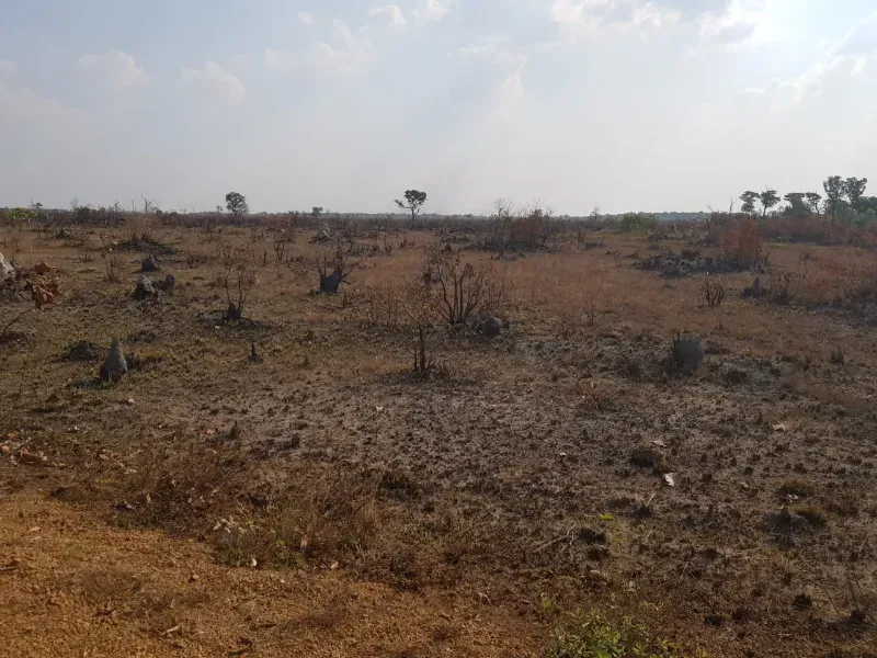 Fazenda em Santana do Araguaia/Pará — Ref LNTGQQ — Imagem 33