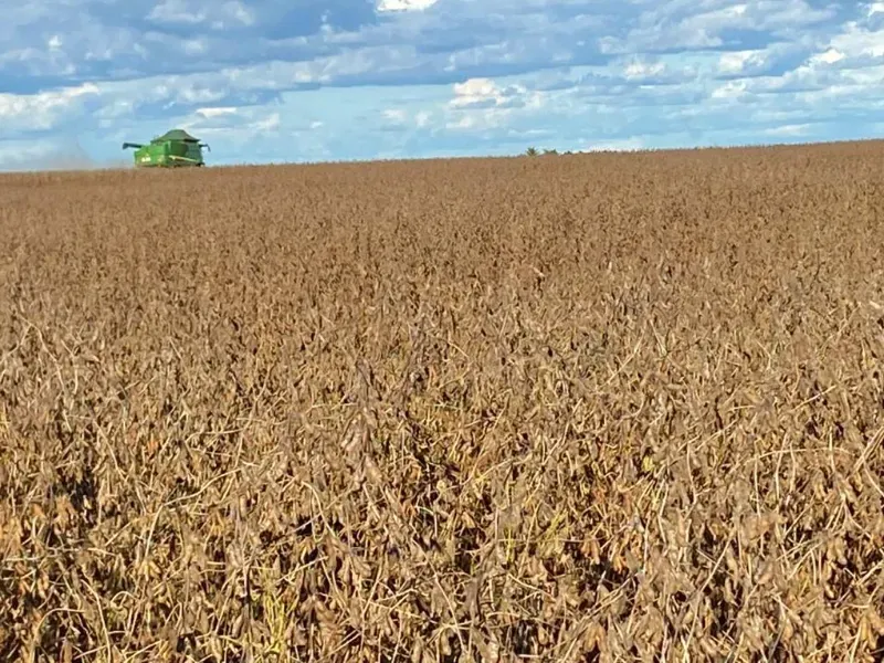 Fazenda em Santana do Araguaia/Pará — Ref LNTGQQ — Imagem 10