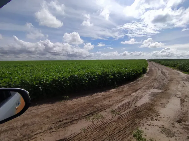 Fazenda em Santana do Araguaia/Pará — Ref LNTGQQ — Imagem 7