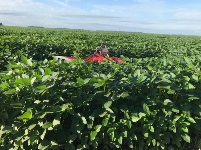 Fazenda em Santana do Araguaia/Pará — Ref LNTGQQ — Imagem 6