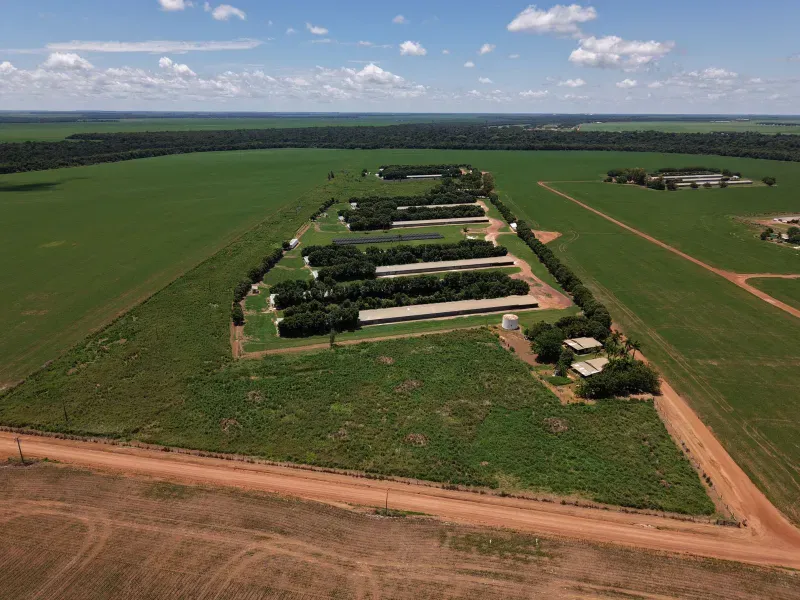 Imóvel rural em Tapurah/Mato Grosso — Ref S3AJ1J1