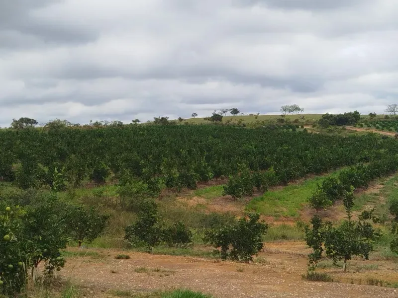 Fazenda em Biquinhas/Minas Gerais — Ref HMLE8T — Imagem 7