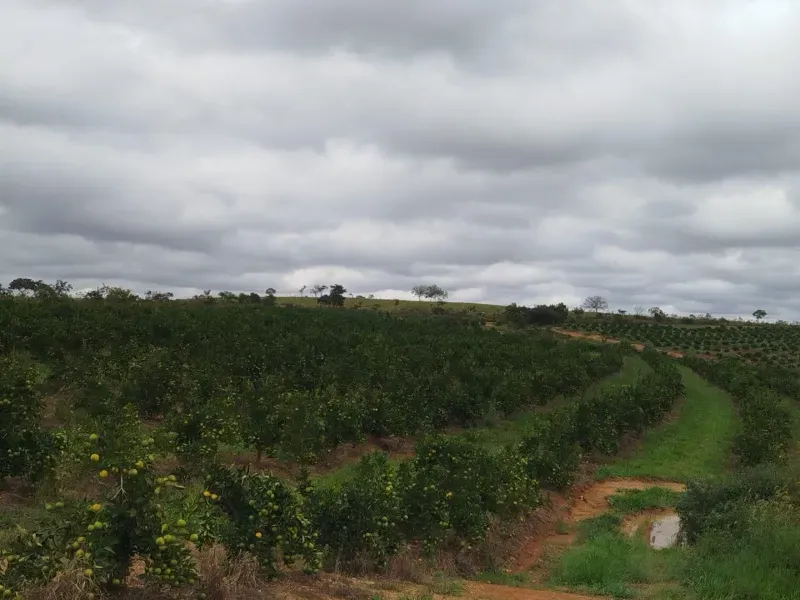 Fazenda em Biquinhas/Minas Gerais — Ref HMLE8T — Imagem 8