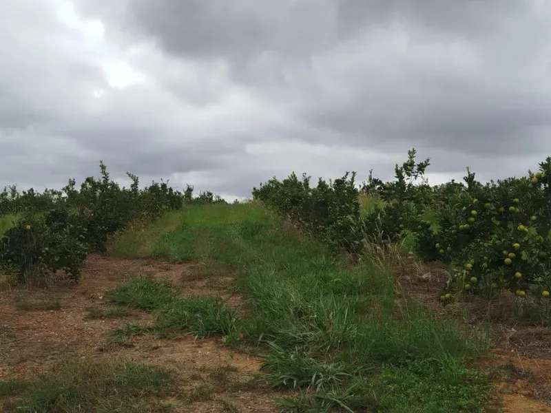 Fazenda em Biquinhas/Minas Gerais — Ref HMLE8T — Imagem 10