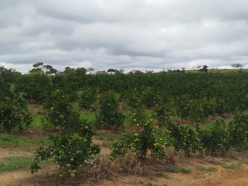 Fazenda em Biquinhas/Minas Gerais — Ref HMLE8T — Imagem 6
