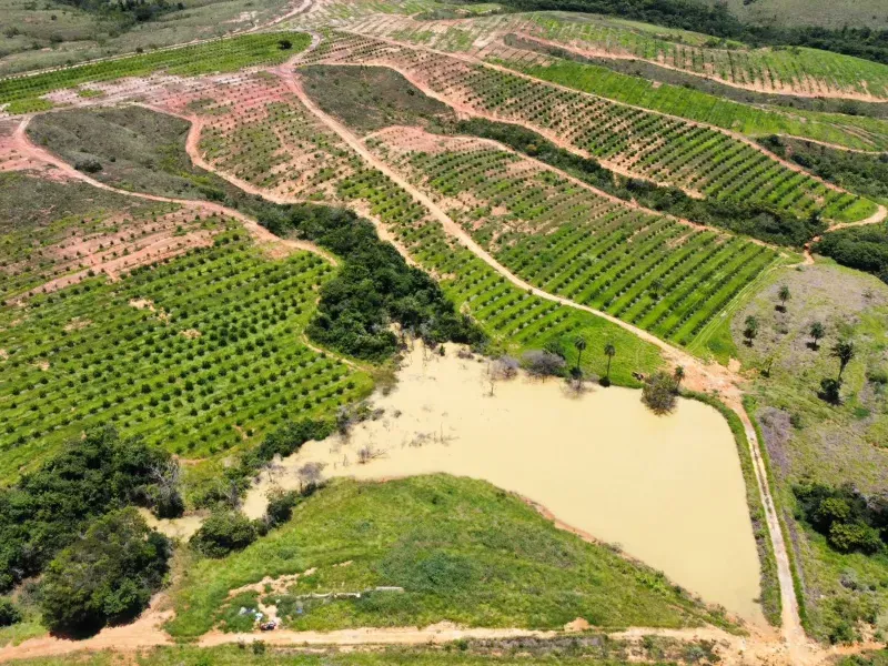 Fazenda em Biquinhas/Minas Gerais — Ref HMLE8T — Imagem 11