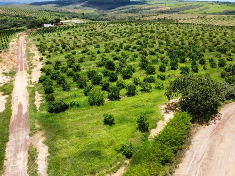 Fazenda em Biquinhas/Minas Gerais — Ref HMLE8T — Imagem 12