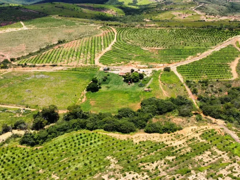 Fazenda em Biquinhas/Minas Gerais — Ref HMLE8T — Imagem 14