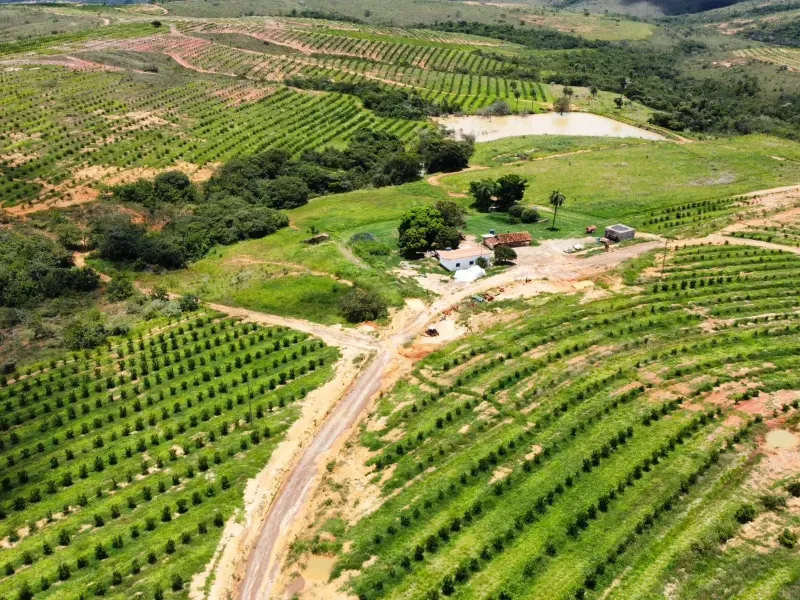 Fazenda em Biquinhas/Minas Gerais — Ref HMLE8T — Imagem 16