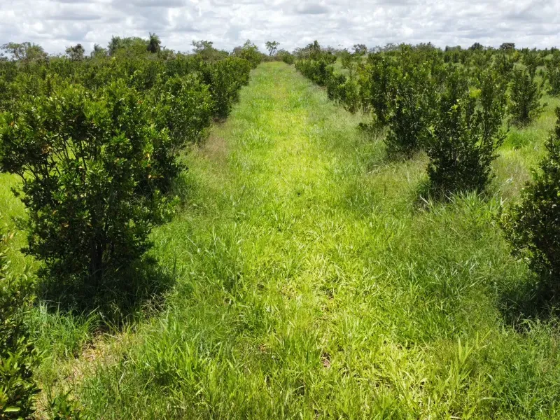 Fazenda em Biquinhas/Minas Gerais — Ref HMLE8T — Imagem 17