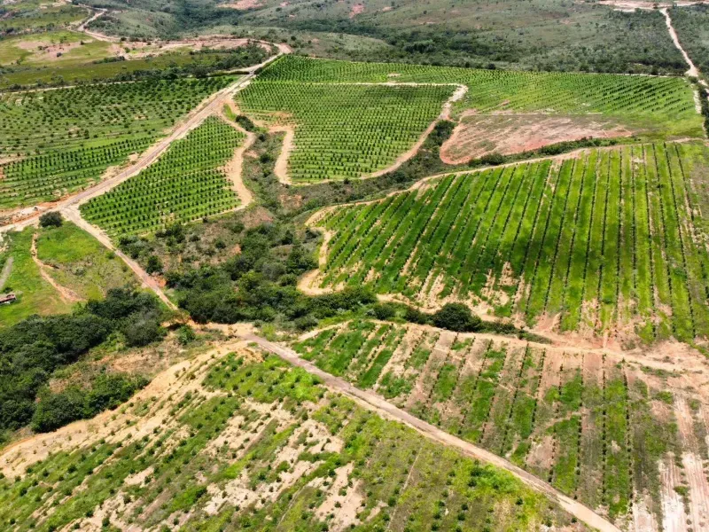 Fazenda em Biquinhas/Minas Gerais — Ref HMLE8T — Imagem 18