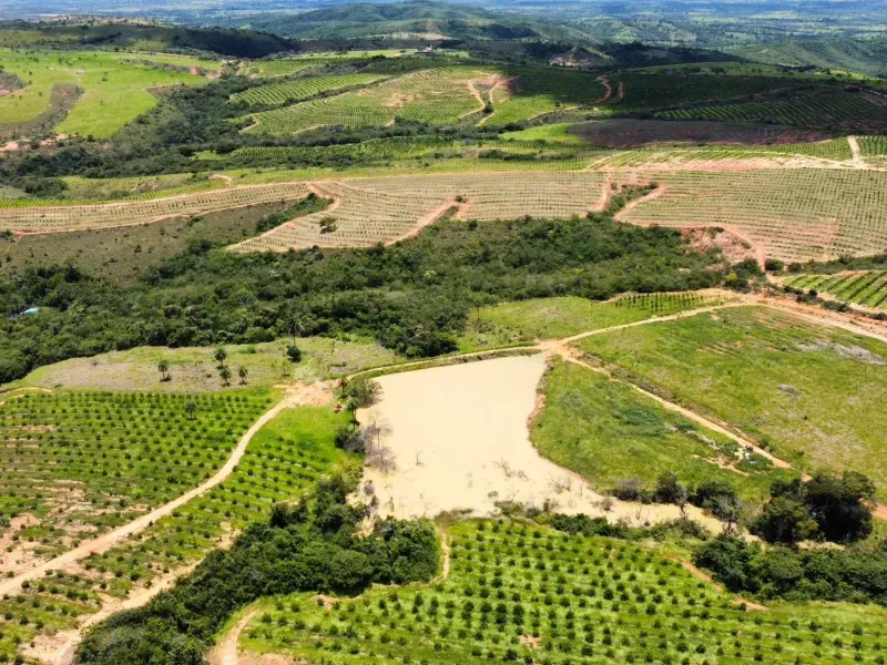 Fazenda em Biquinhas/Minas Gerais — Ref HMLE8T — Imagem 19