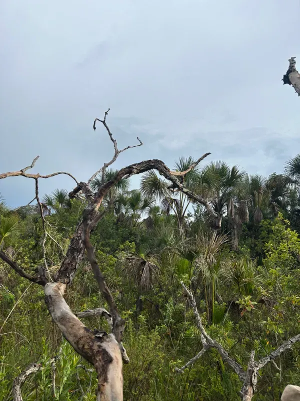 Fazenda em Sítio d'Abadia/Goiás — Ref MHUKFQ — Imagem 12
