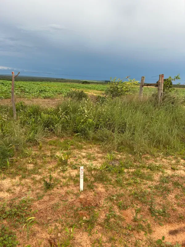 Fazenda em Sítio d'Abadia/Goiás — Ref MHUKFQ — Imagem 13
