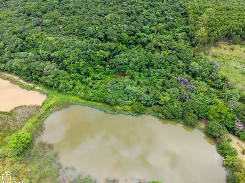 Sítio em Tambaú/São Paulo — Ref W333NM — Imagem 24