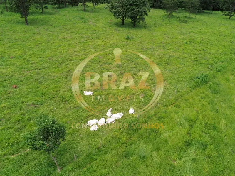 Fazenda em Urutaí/Goiás — Ref XYLXE2 — Imagem 15