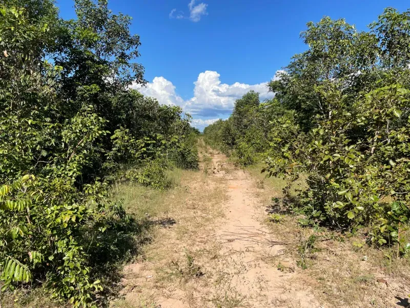 Fazenda em Lizarda/Tocantins — Ref V15IBI — Imagem 2