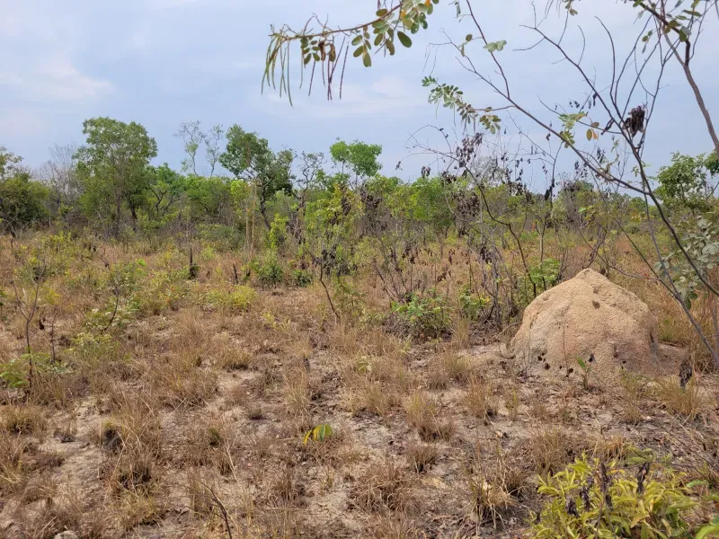 Fazenda em Lizarda/Tocantins — Ref V15IBI — Imagem 3