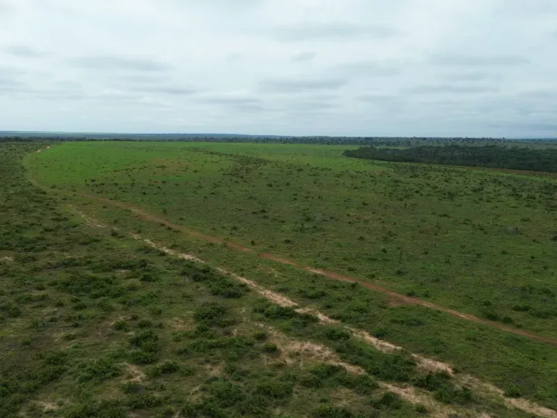 Fazenda em Colinas do Tocantins/Tocantins — Ref VW0Z7H — Imagem 12